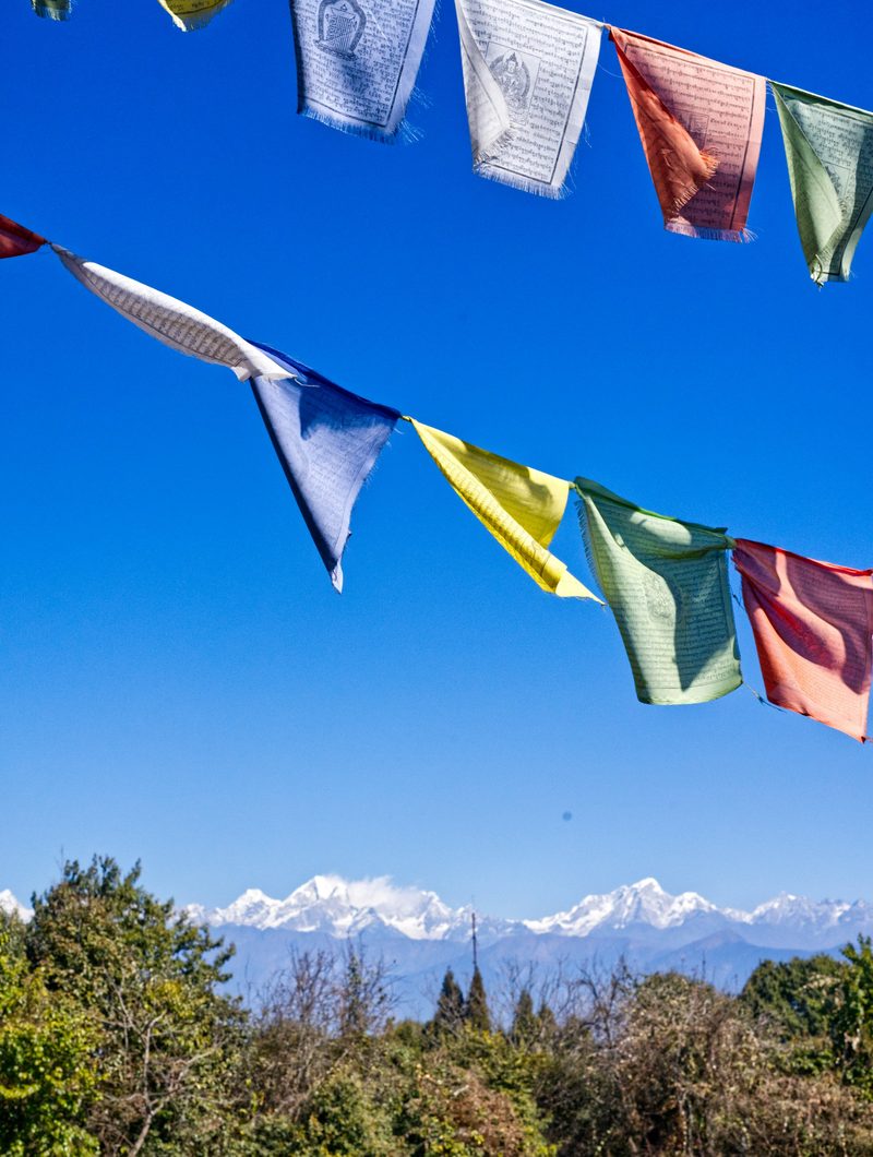 Prayer flags against the Himalaya